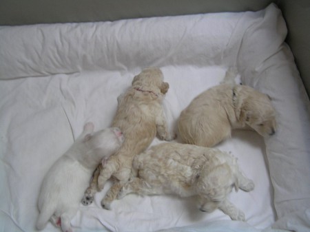 15. den, máma odešla z bedny...